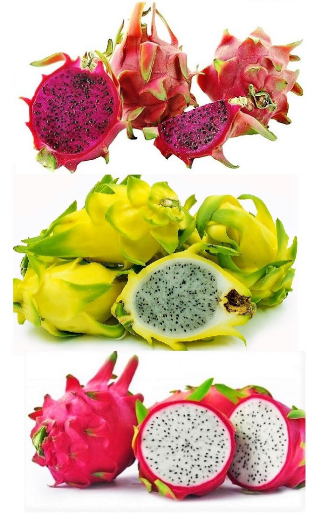 beneficios pitaya 2