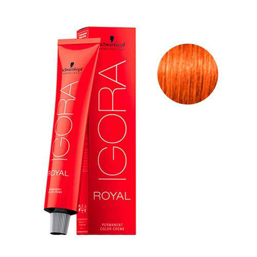 Coloração Igora Royal Schwarzkopf Louro Médio Cobre Extra 7 77 60G