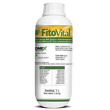 Fitovital - 20 Capsulas