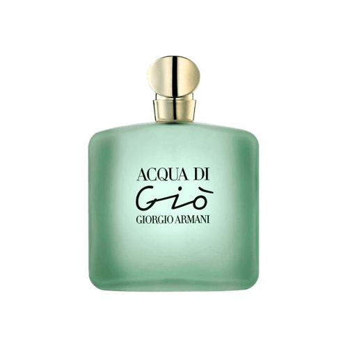 Giorgio Armani Acqua Di Giò Eau De Toilette Perfume Feminino 100Ml