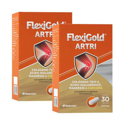 Kit 2 Flexigold Artri 30 Cápsulas Herbamed