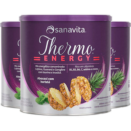 Imagem do produto Kit 3 Thermo Energy Sanavita Abacaxi Com Hortelã 300G