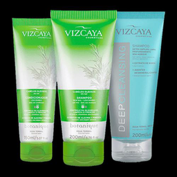 Kit Shampoo E Condicionador Cabelos Oleosos Vizcaya