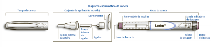 Imagem Complementar da Bula do Lantus - 100ui solostar 1x3ml