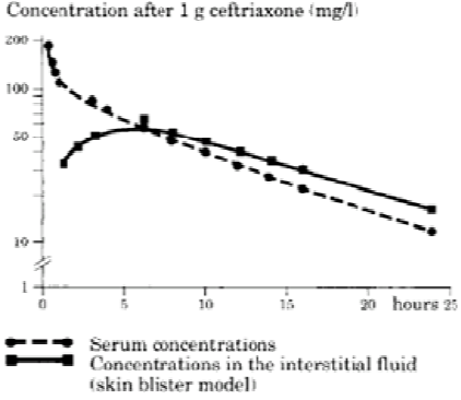 Imagem Complementar da Bula do Ceftriaxona - Intramuscular 1g 3,5ml eurofarma genérico