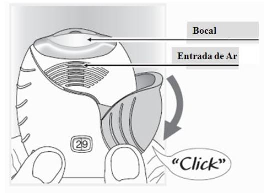 Imagem Complementar da Bula do Relvar ellipta - 100mcg + 25mcg com 30 doses