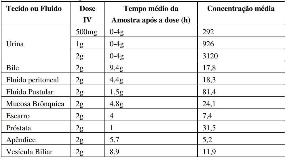 Imagem Complementar da Bula do maxcef - 1g ing 1fa+dil