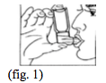 Imagem Complementar da Bula do Berotec - Aerosol 100mcg 10 ml c 200 doses