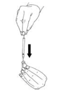 Imagem Complementar da Bula do Menopur - 600ui pó liofilizado injetável 1 frasco-ampola + 1 seringa pre envelope diluente 1 ml + 9 seringa