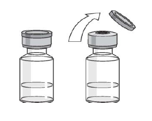 Imagem Complementar da Bula do Stelara 130mg solução injetável 1fa 26ml