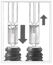 Imagem Complementar da Bula do Exelon - Solução oral 120ml