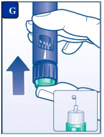 Imagem Complementar da Bula do Insulina - Levemir flexpen 1un