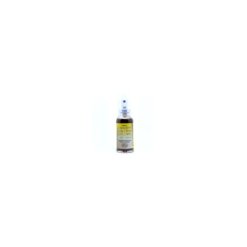 Propolis - Spray Bioflora Gengibre 30Ml