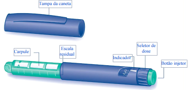 Bula do insulina - levemir penfill 3ml